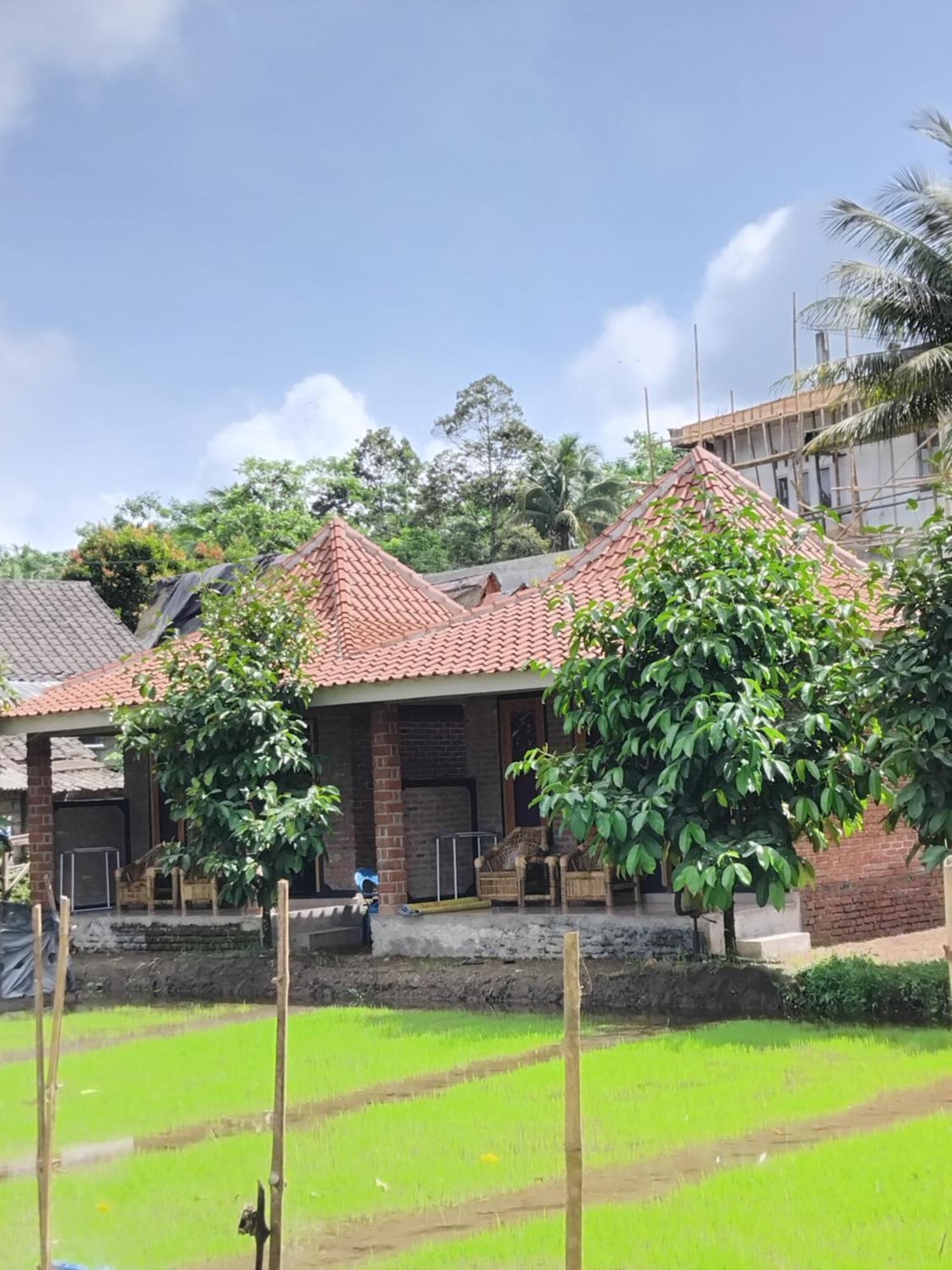 Tereng Wilis Bungalows Tetebatu Quarto foto