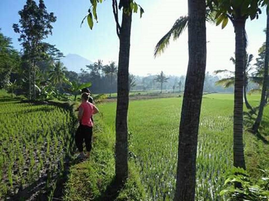 Tereng Wilis Bungalows Tetebatu Exterior foto