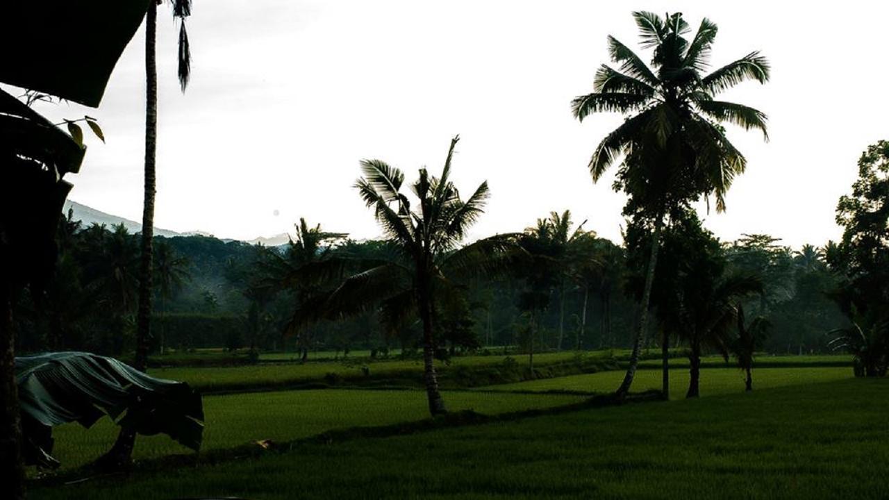 Tereng Wilis Bungalows Tetebatu Exterior foto